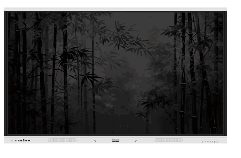Monitor interaktywny myBoard Panda 2.0 65''